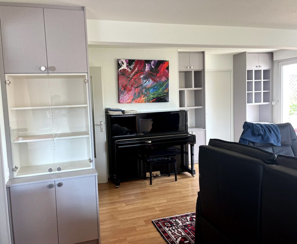 Ensemble meubles de rangement + vitrine