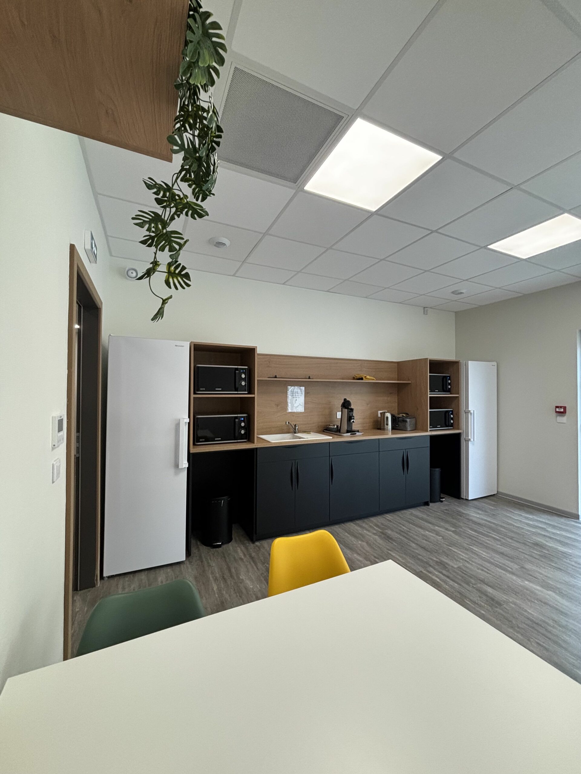 Aménagement professionnel Kisscut