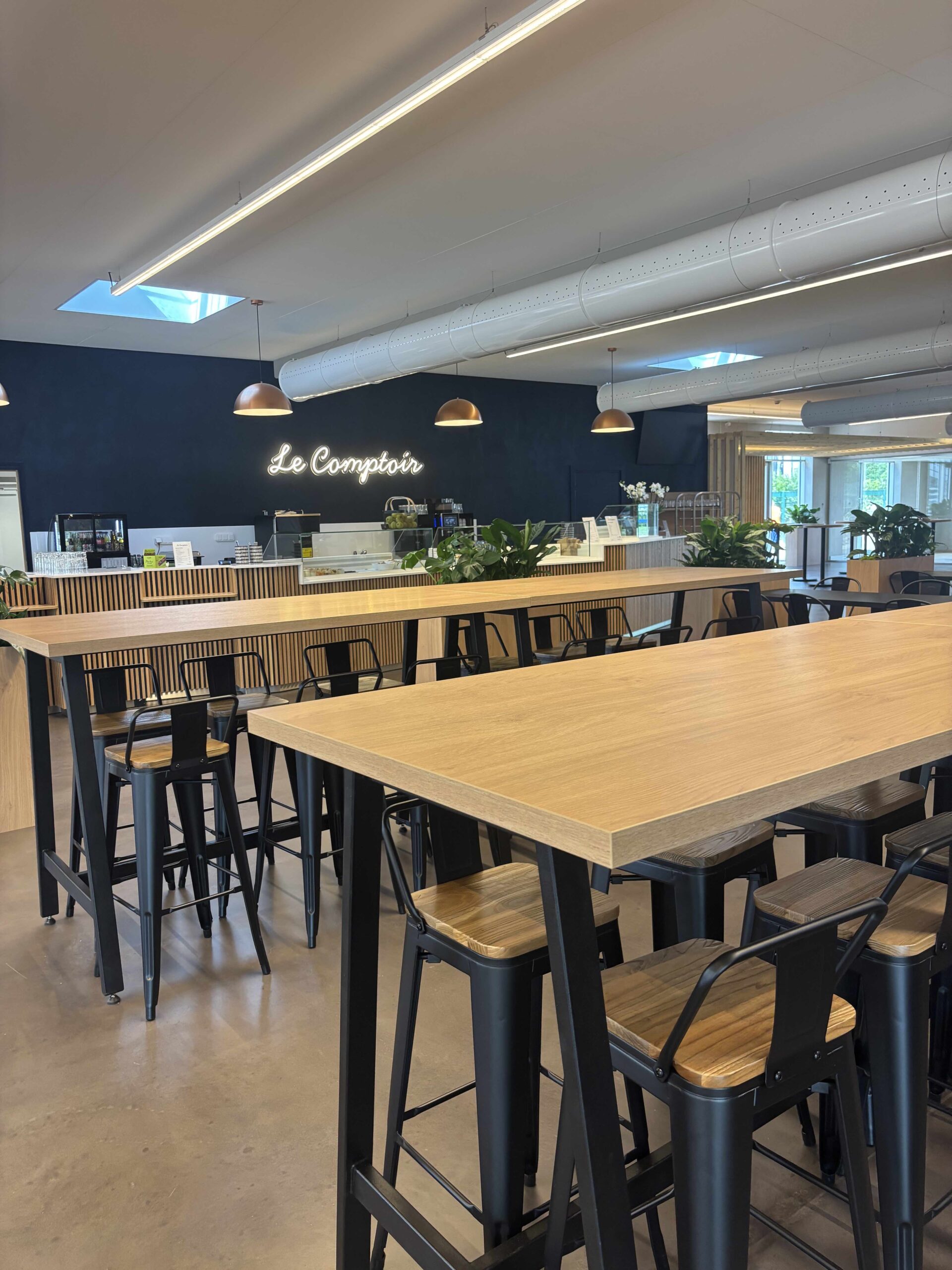 Aménagement professionnel Socomec
